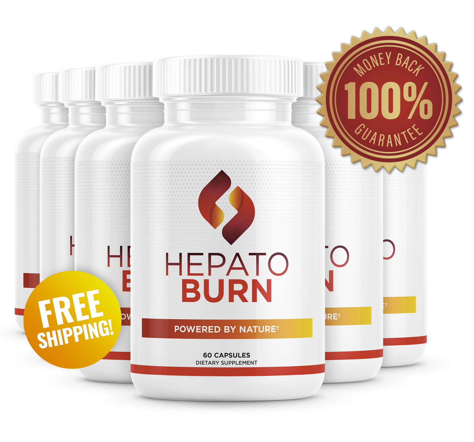 HepatoBurn product 6 Bottles